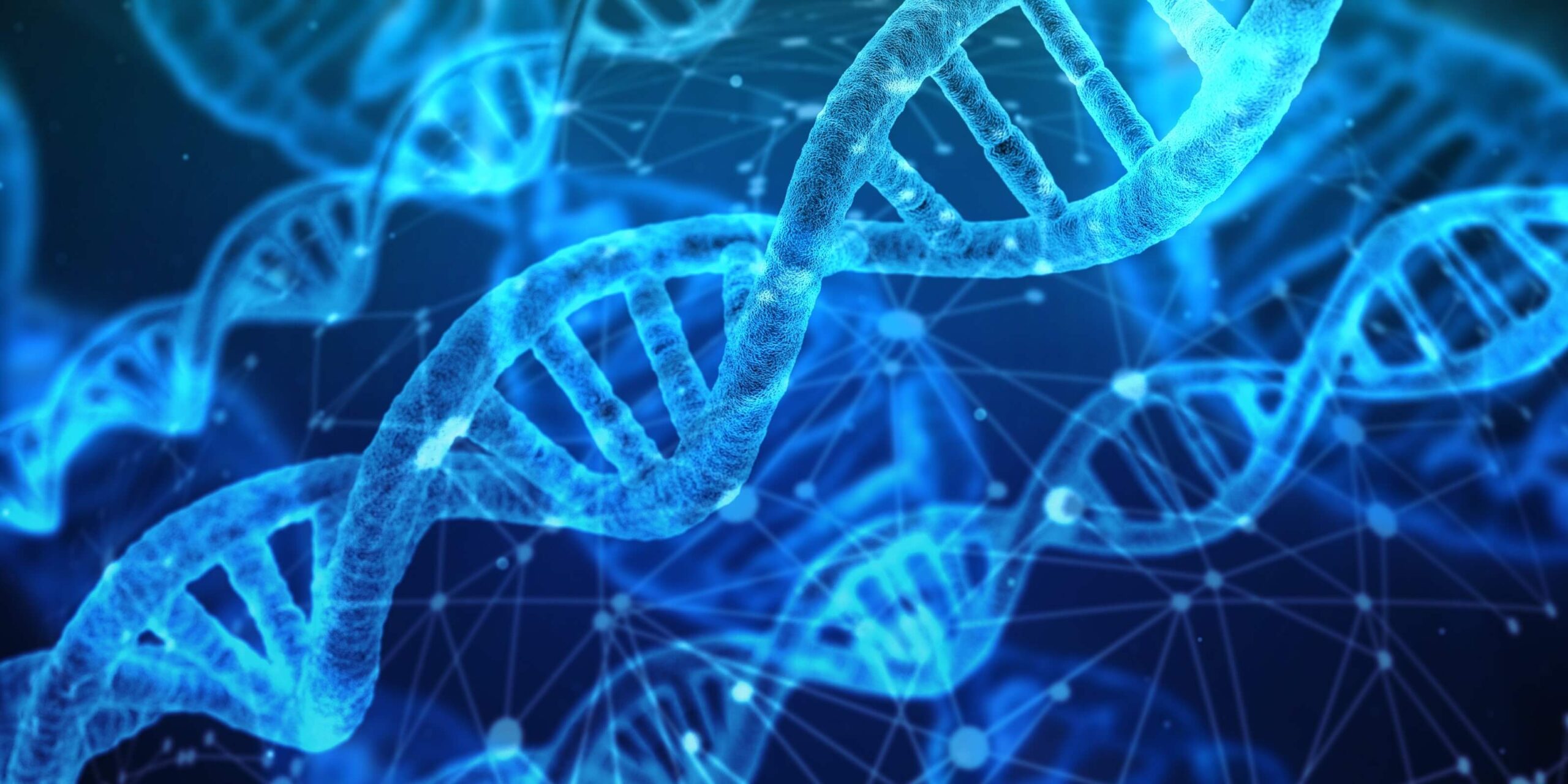Winzige DNA-Roboter: Nano-Maschinen für Medizin und IT 2 DNA Roboter scaled