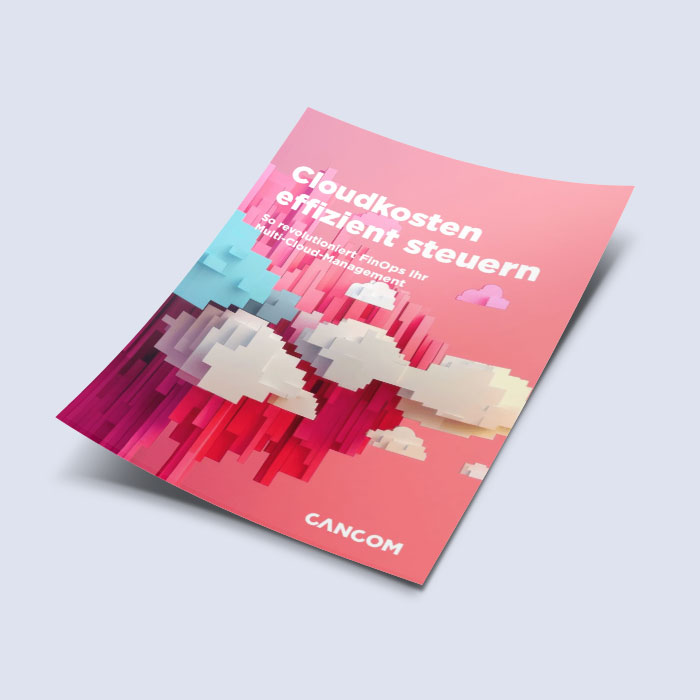 FinOps 3 b_flyer_cloudkosten